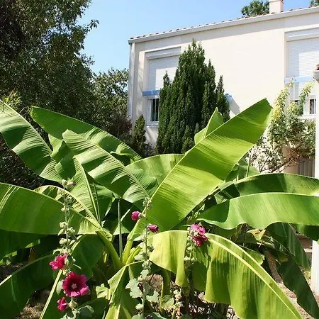 Les Bergeronnettes Hébergement de vacances La Rochelle (Charente-Maritime)